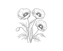 Vedlikehold av grønne tak