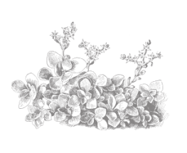 Vurdering av tilstand